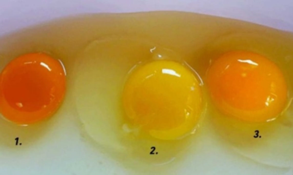 Ποιος από αυτούς τους κρόκους σας φαίνεται πιο υγιεινός;