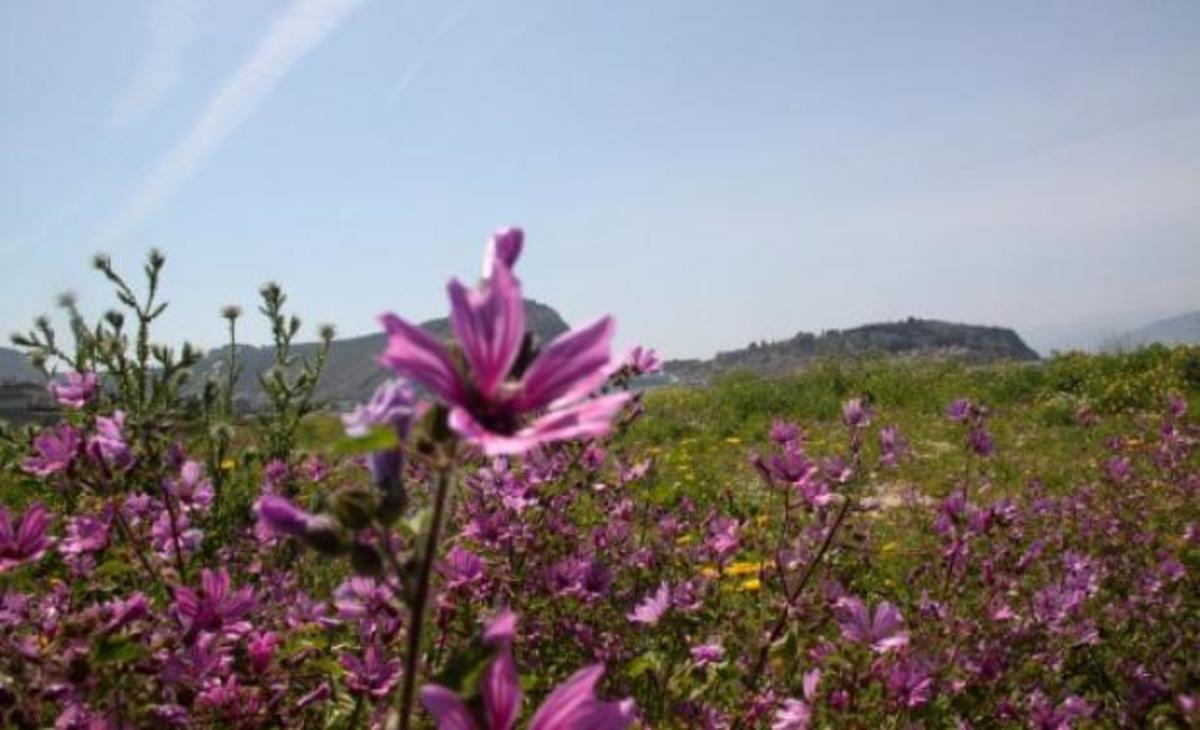 Πότε μεταφέρεται η αργία της Πρωτομαγιάς