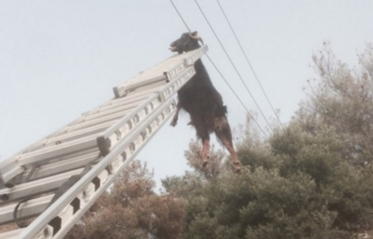 Τέμπη: Οι απίθανες εικόνες που κάνουν το γύρο του facebook