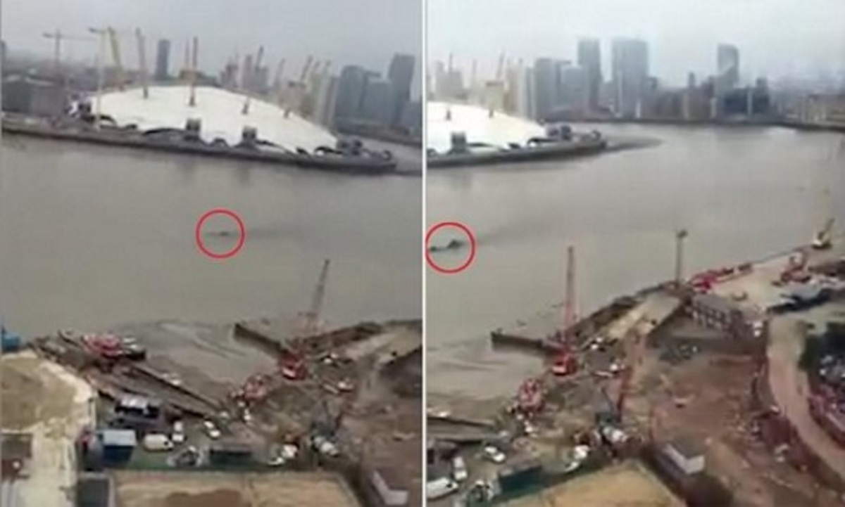 Το Τέρας του Λοχ Νες «μετακόμισε» στον Τάμεση;