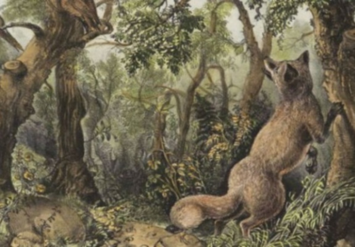 Εσύ μπορείς να βρεις τα 16 κρυμμένα ζώα και πρόσωπα σε αυτή την φωτογραφία;