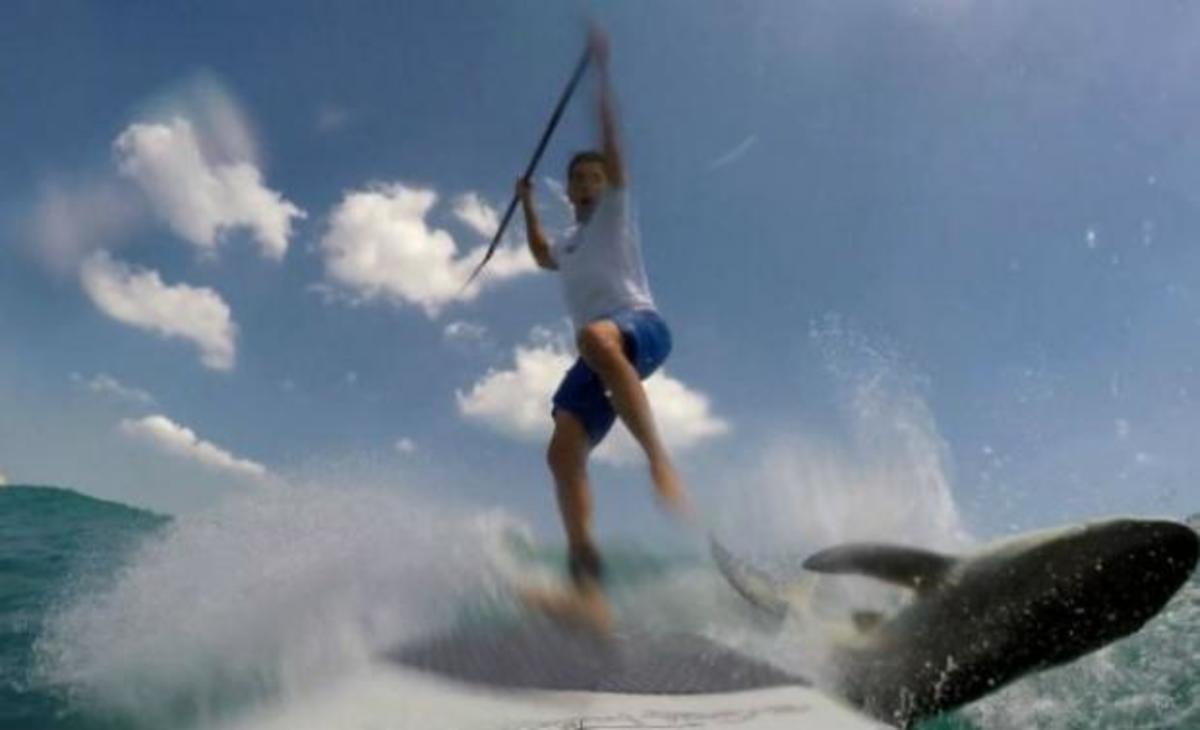 Συγκλονιστικό βίντεο: Εμφανίστηκε καρχαρίας την στιγμή που έκανε surfing!