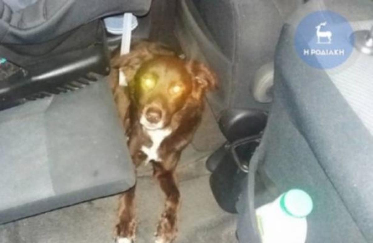 Πλησίασε το αυτοκίνητο και είδε μέσα αυτή την εικόνα