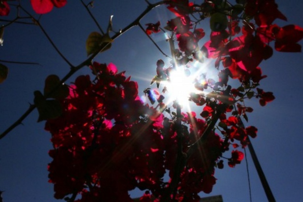 Καιρός Πάσχα 2016: Βροχές και λιακάδες