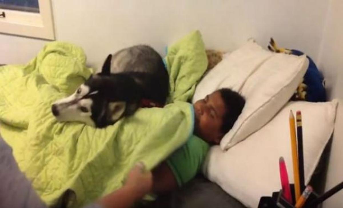 Προσπαθεί να ξυπνήσει το γιο της για να πάει σχολείο – Δείτε όμως τι κάνει ο σκύλος (ΒΙΝΤΕΟ)