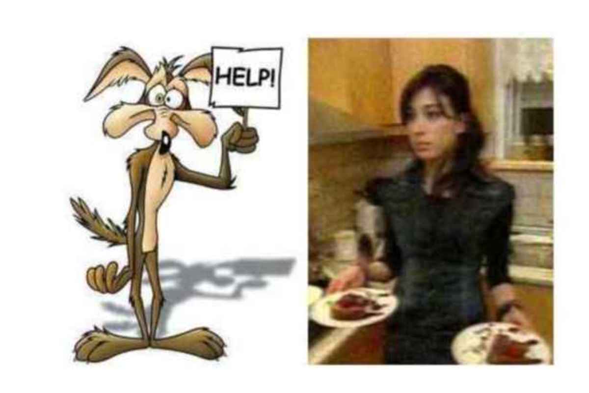 Το αγαπημένο κογιότ “απειλείται” από αυτή την κοπέλα…