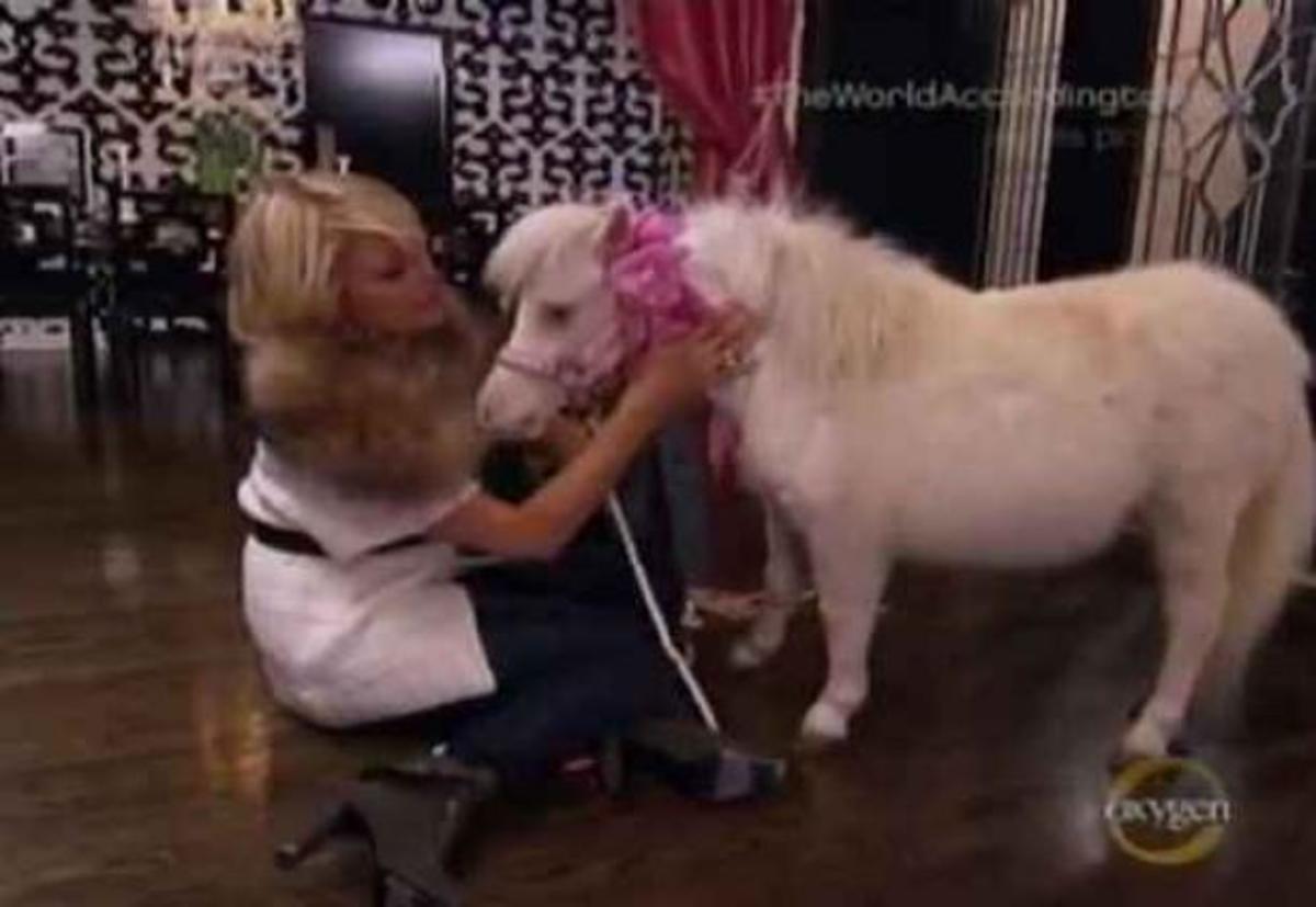 Το νέο reality της Paris Hilton – Δείτε βίντεο από τη χθεσινή πρεμιέρα!