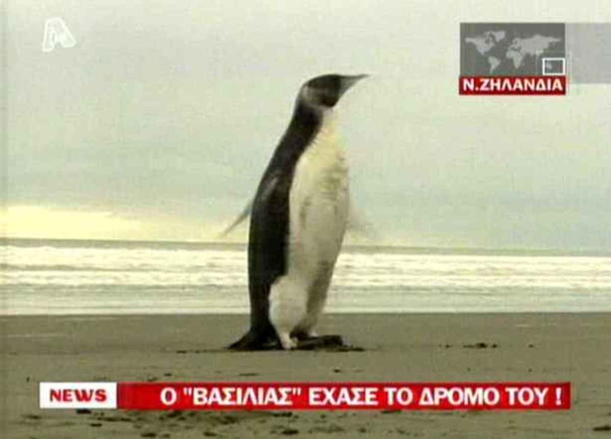 Ο Αυτοκράτορας έχασε το δρόμο του!