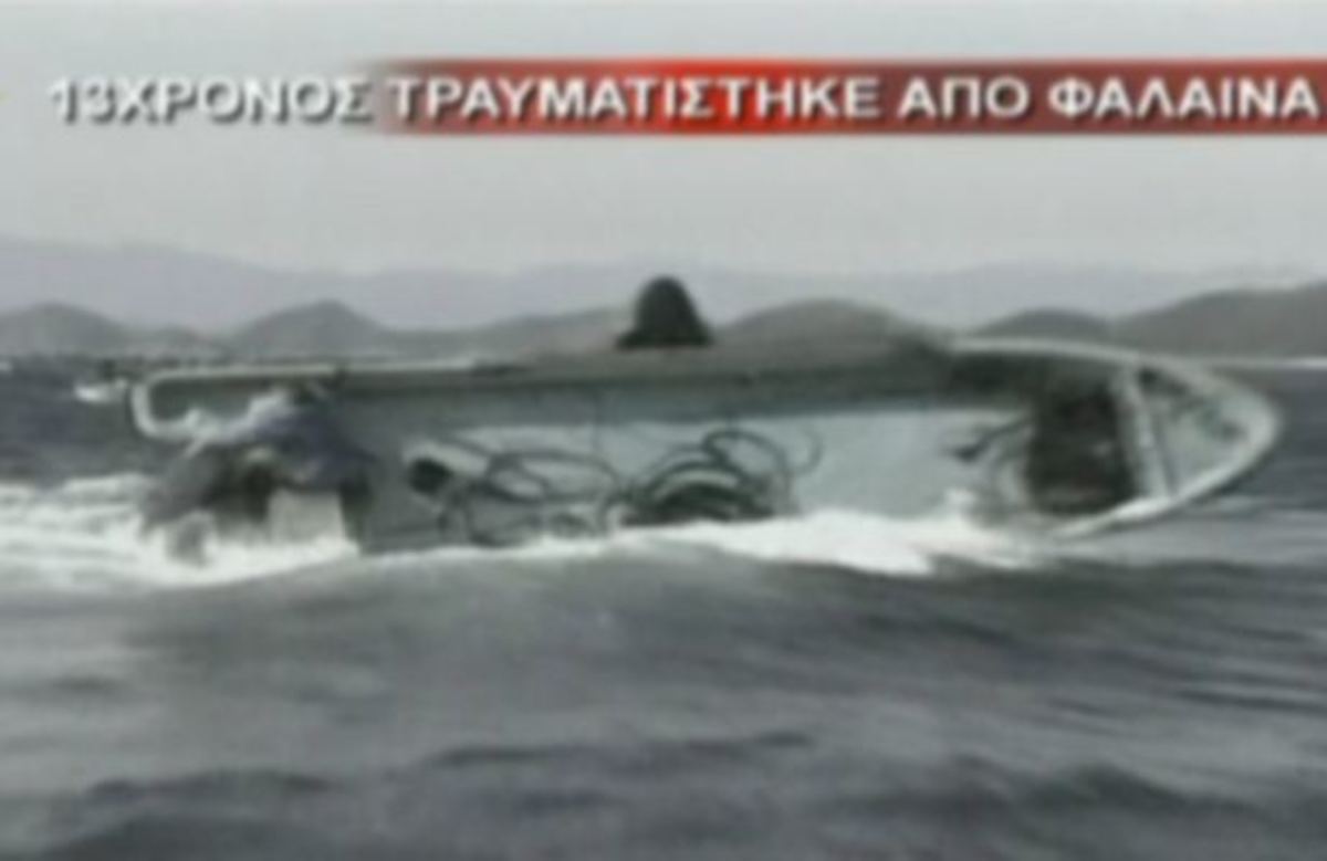 Σοκαριστικές επιθέσεις από θαλάσσια κήτη