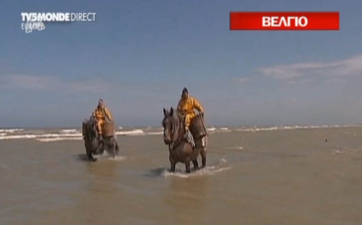 Ψαρεύουν με τα άλογα!