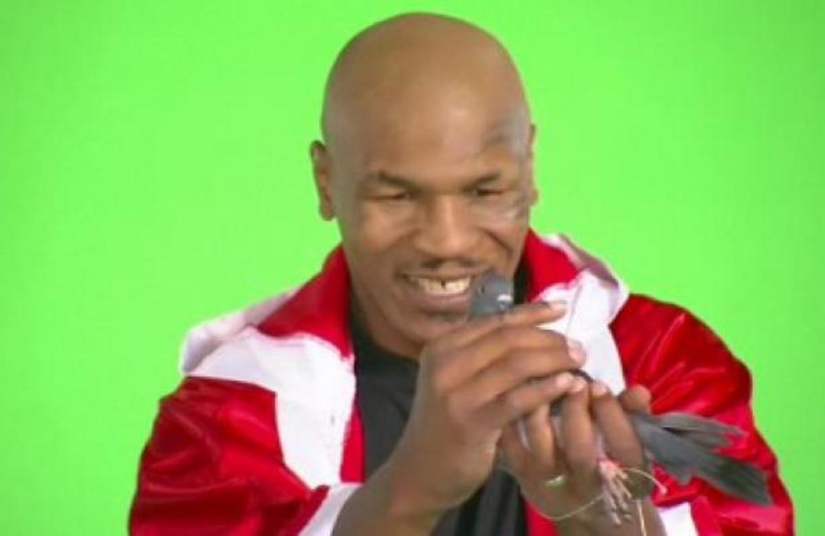 Ο Michael Tyson “μιλά”… σε περιστέρια!