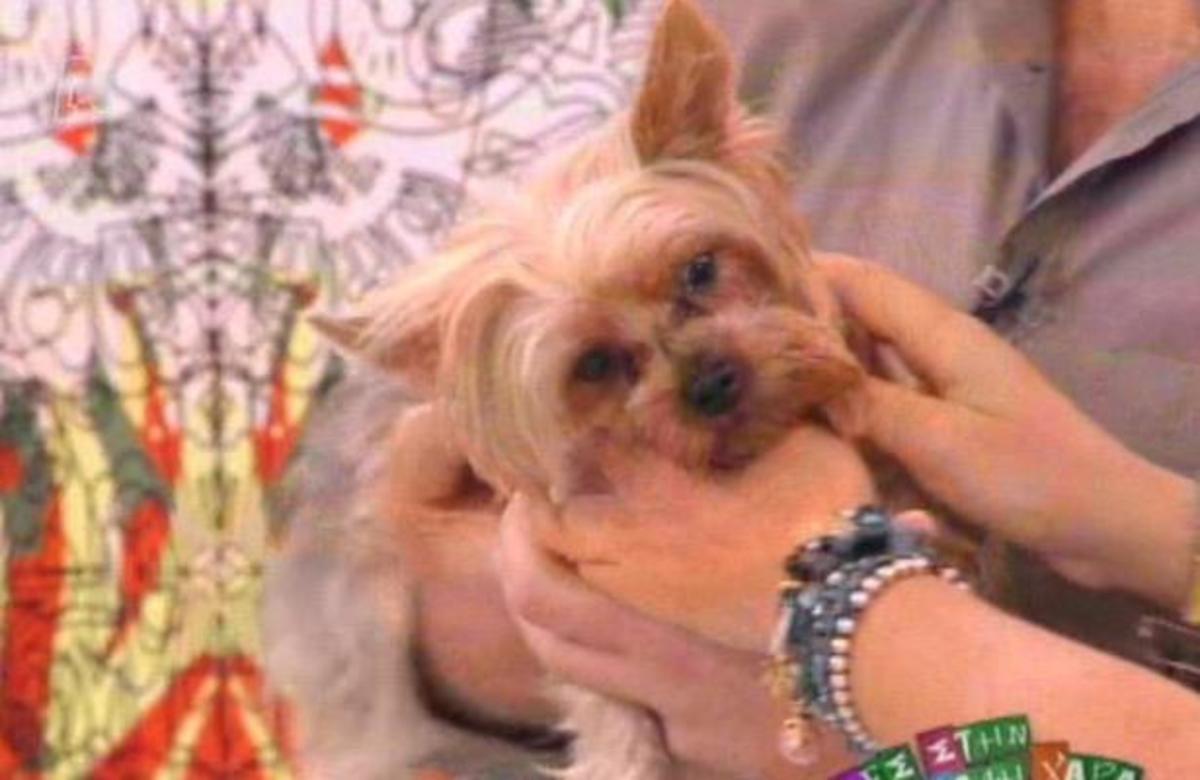 Ποια ήταν η… χρησιμότητα του Μίκι πριν χρόνια;