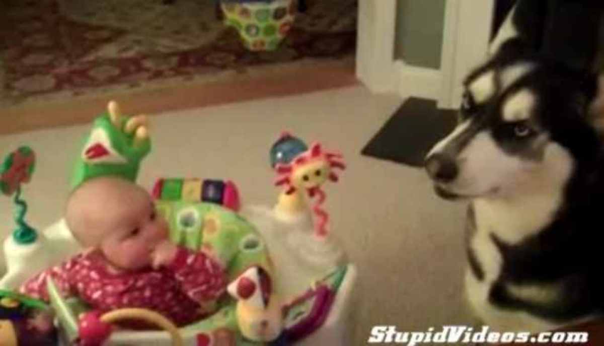 Ο σκύλος που κάνει το μωρό να… ησυχάζει
