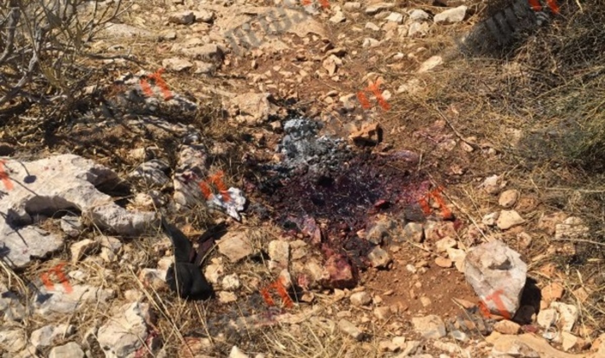 Τον έκαψαν ζωντανό! Έτρεχε φλεγόμενος να πέσει στη θάλασσα – Φρικτό έγκλημα στα λιμανάκια της Βουλιαγμένης