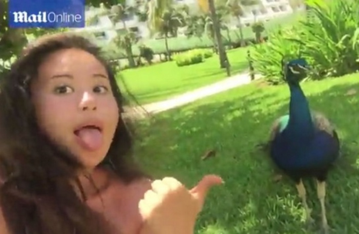 Angry bird! Της επιτέθηκε παγώνι ενώ έβγαζε selfie