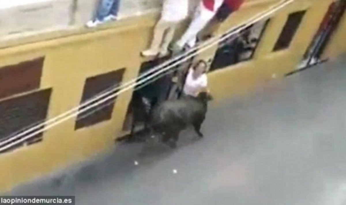 Ταύρος σκοτώνει γυναίκα μπροστά στον άντρα και το παιδί της