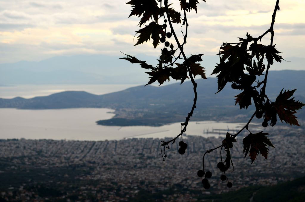 Χριστίνα Πολίτη