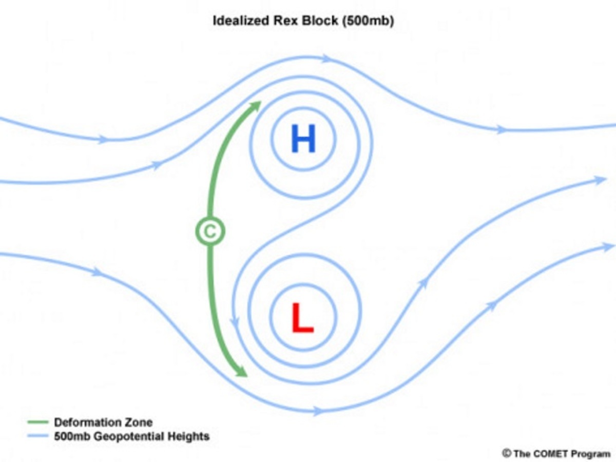 Rex Blocking