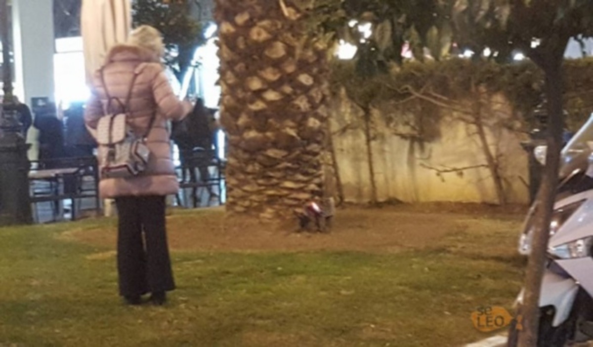 Θεσσαλονίκη: Χαμός στο facebook με την κοπέλα που έβγαλε βόλτα τον ιδιαίτερο σκύλο της [pics]