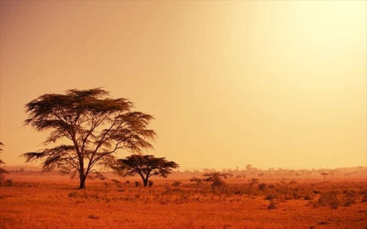 Θανάσης Παφίλης