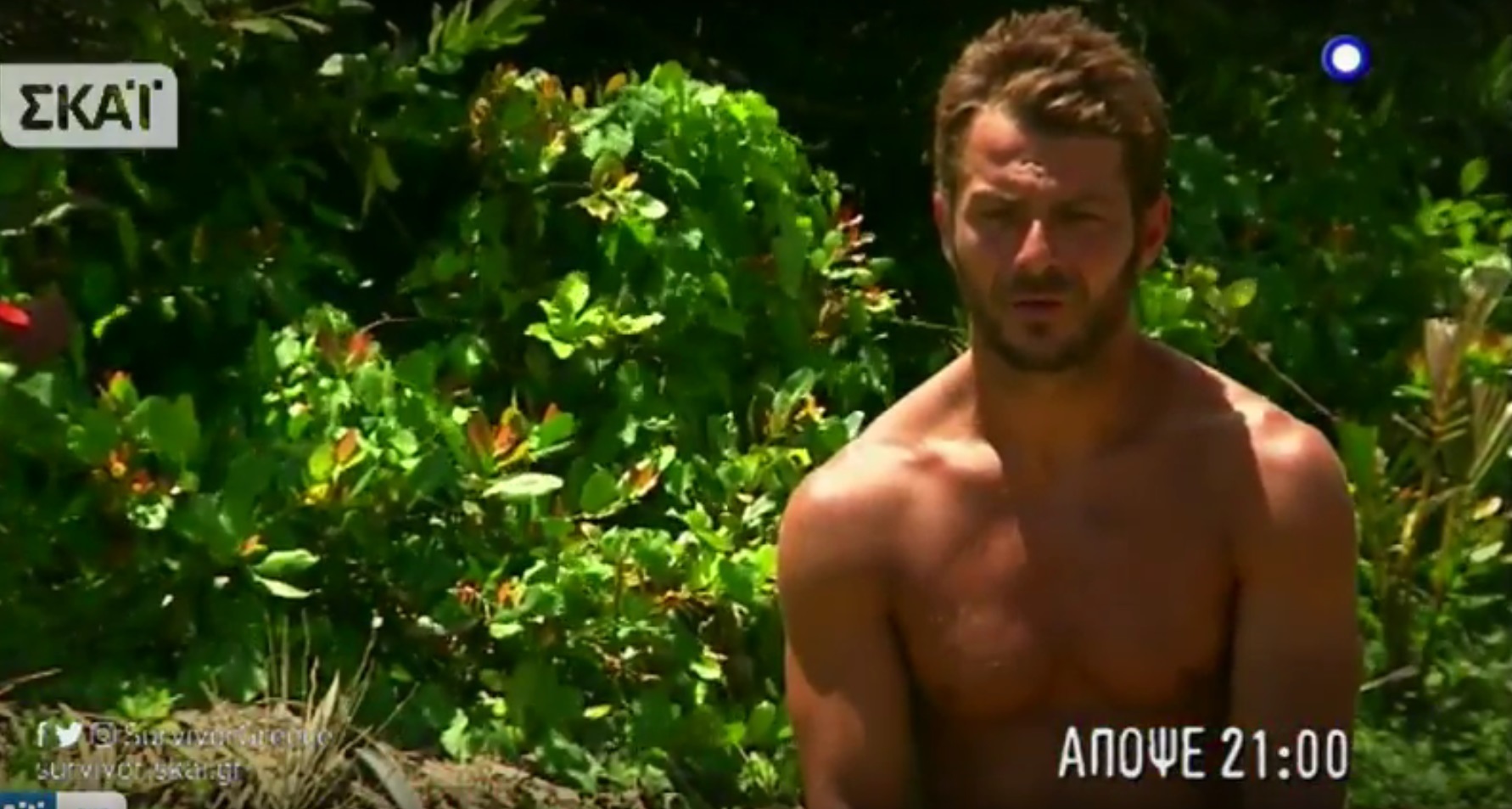 Survivor