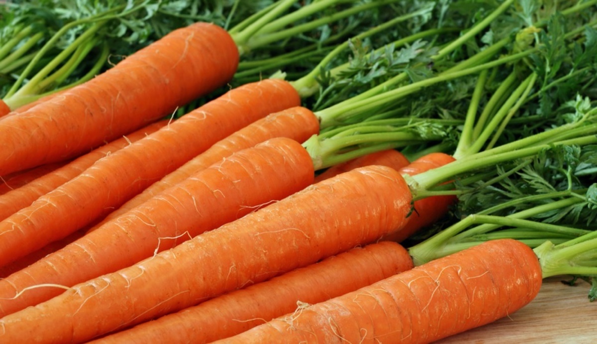 Δυο χρόνια έτρωγα κάθε μέρα καρότα, είχα μείνει μισή! Ήμουν χάλια...» |  Zappit