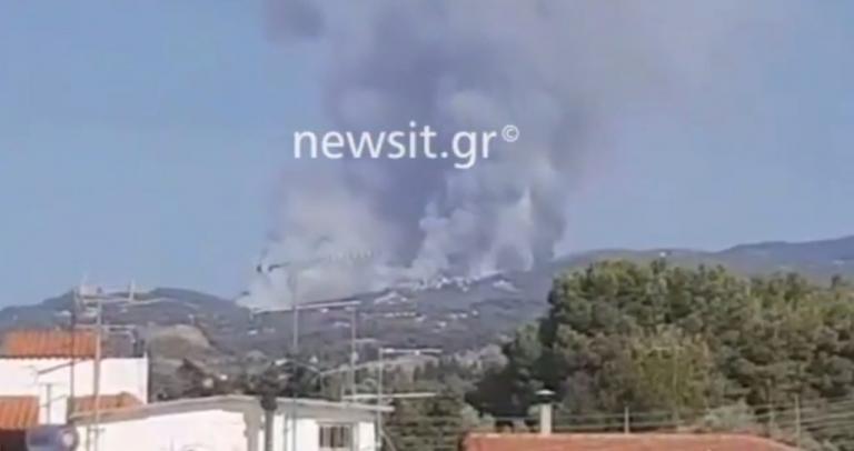 Τεράστια φωτιά τώρα στον Κάλαμο! Είναι κοντά σε σπίτια, πελώριοι οι καπνοί!