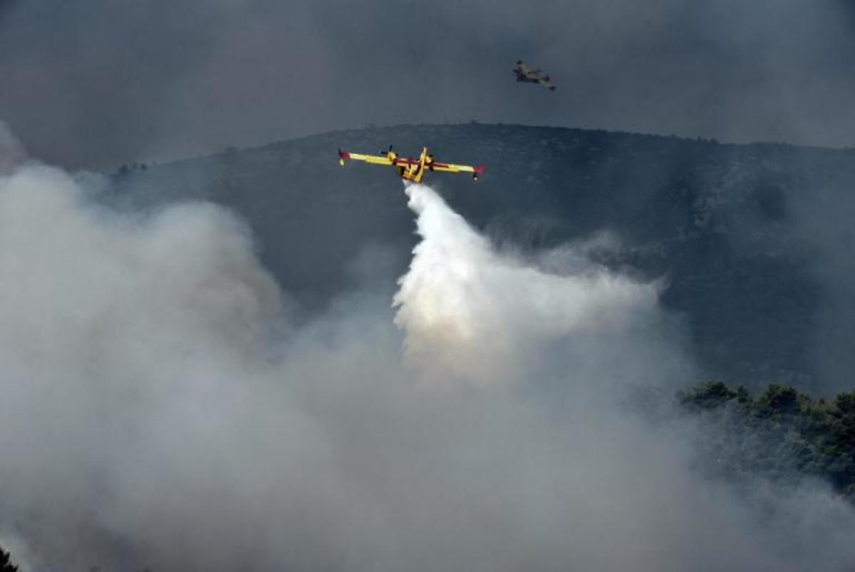 Φωτιά στην Αττική: Συνεχίζεται ο πύρινος εφιάλτης – Φεύγουν οι κάτοικοι στο Σαλαμίδι