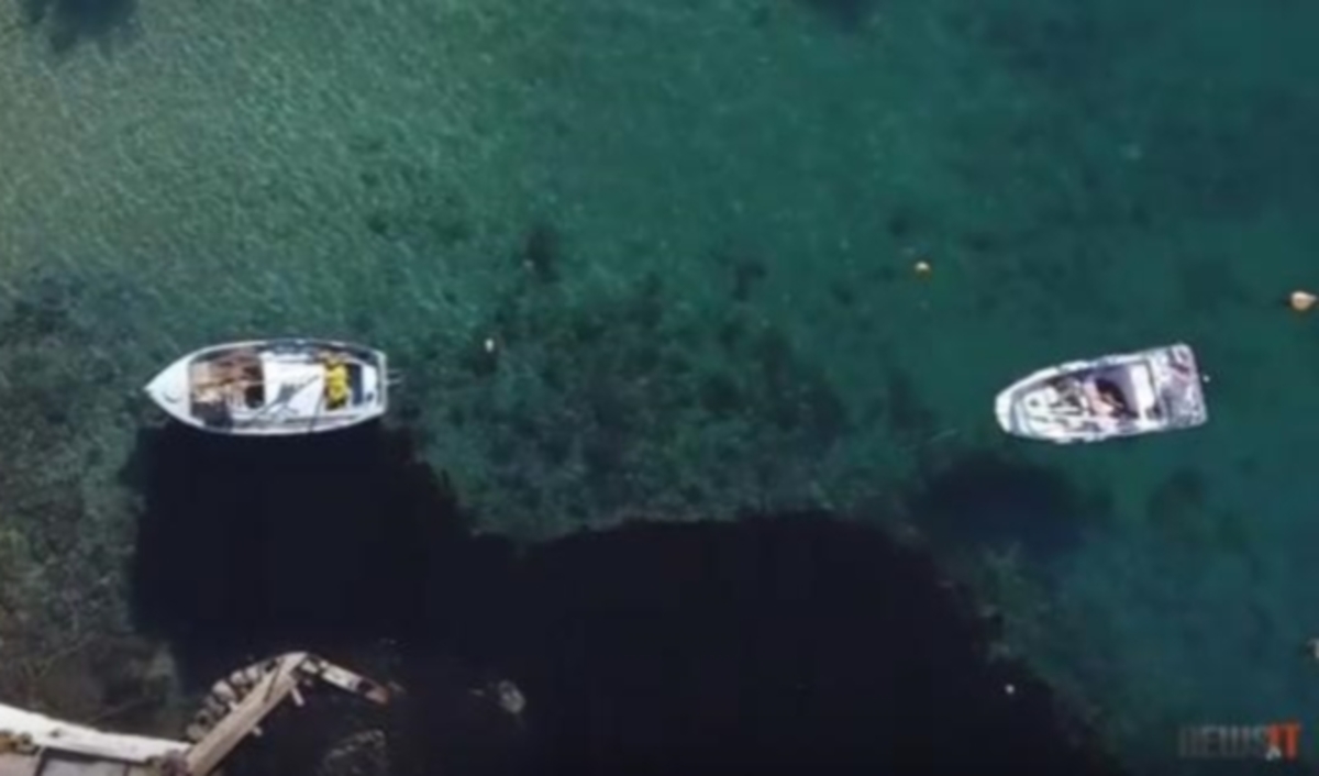 Θλιβερές εικόνες: Η οικολογική καταστροφή του Σαρωνικού από drone – Το “μαύρο” κάλυψε το γαλάζιο [vid]