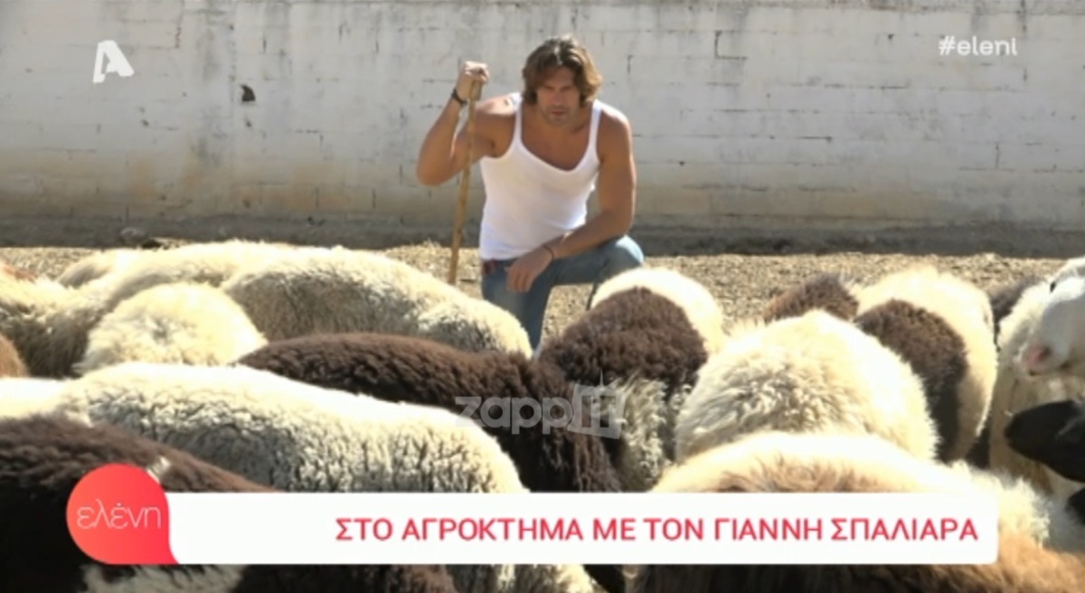 Γιάννης Σπαλιάρας