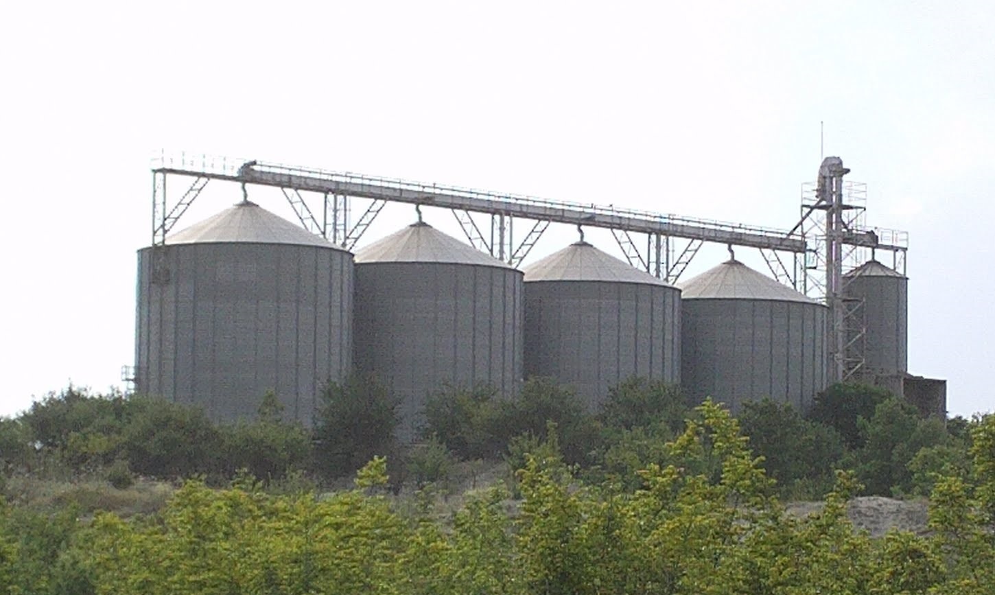 Κατίνα Παξινού