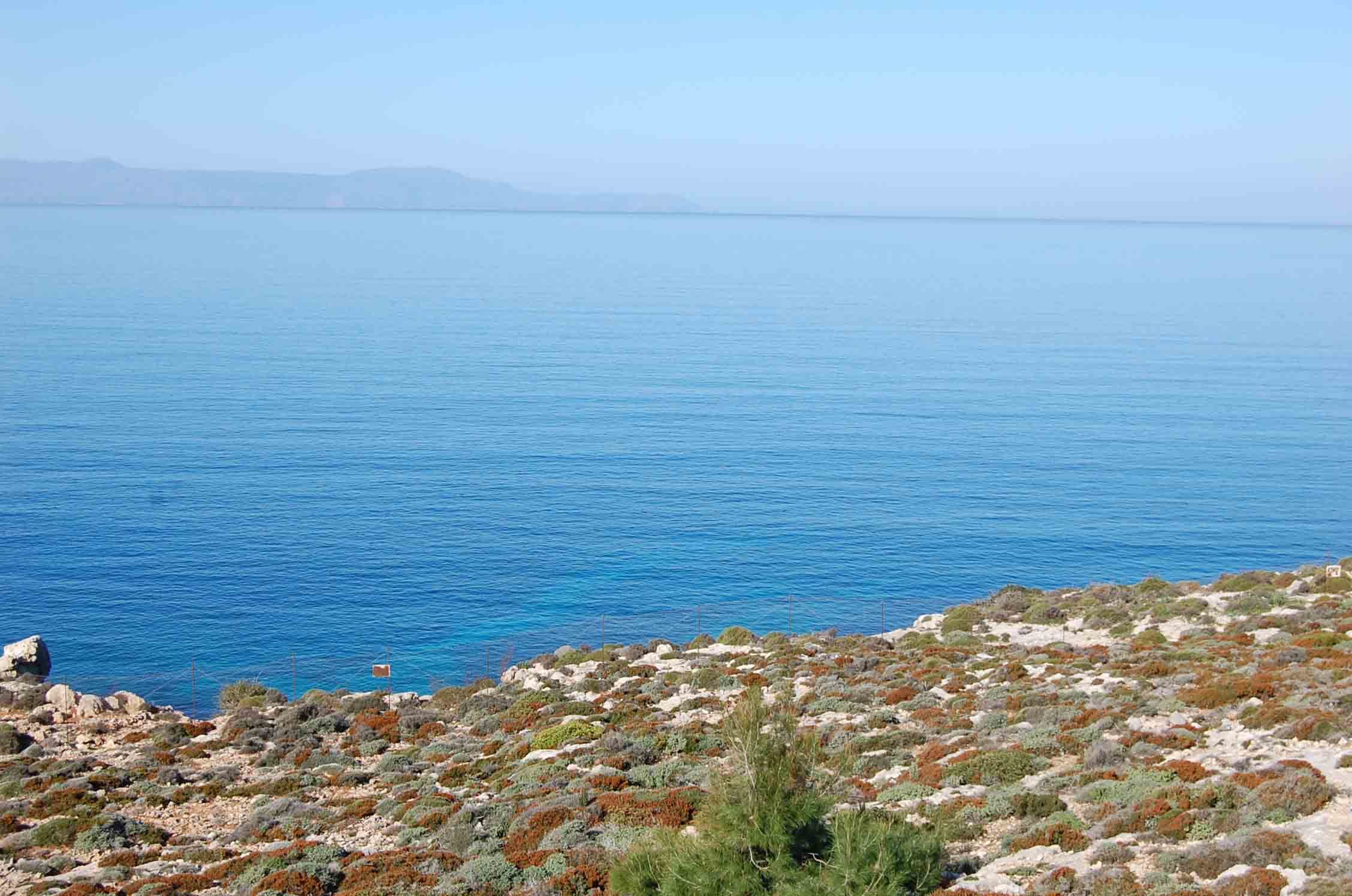 Κώστας Χαριτοδιπλωμένος