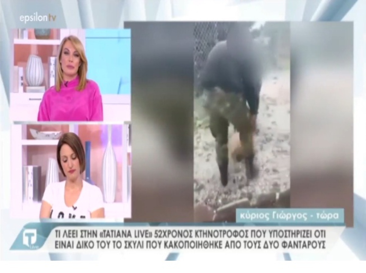 Tatiana Live: Όλα όσα δηλώνει ο 52χρονος που υποστηρίζει ότι το σκυλάκι που βασάνιζαν οι φαντάροι είναι δικό του