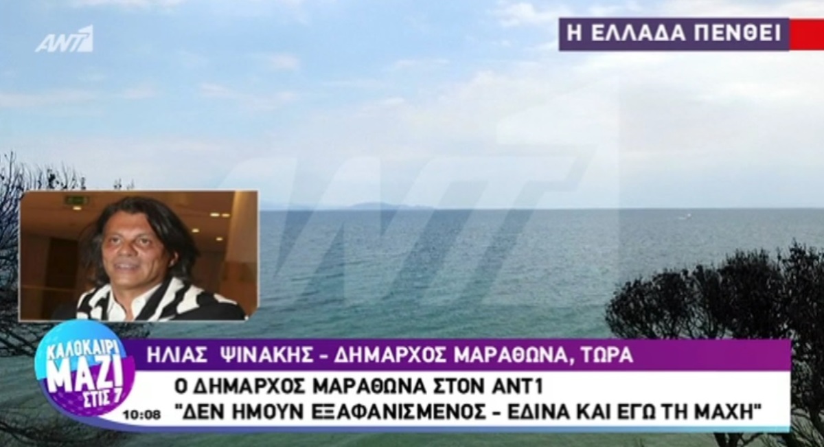 Ηλίας Ψινάκης