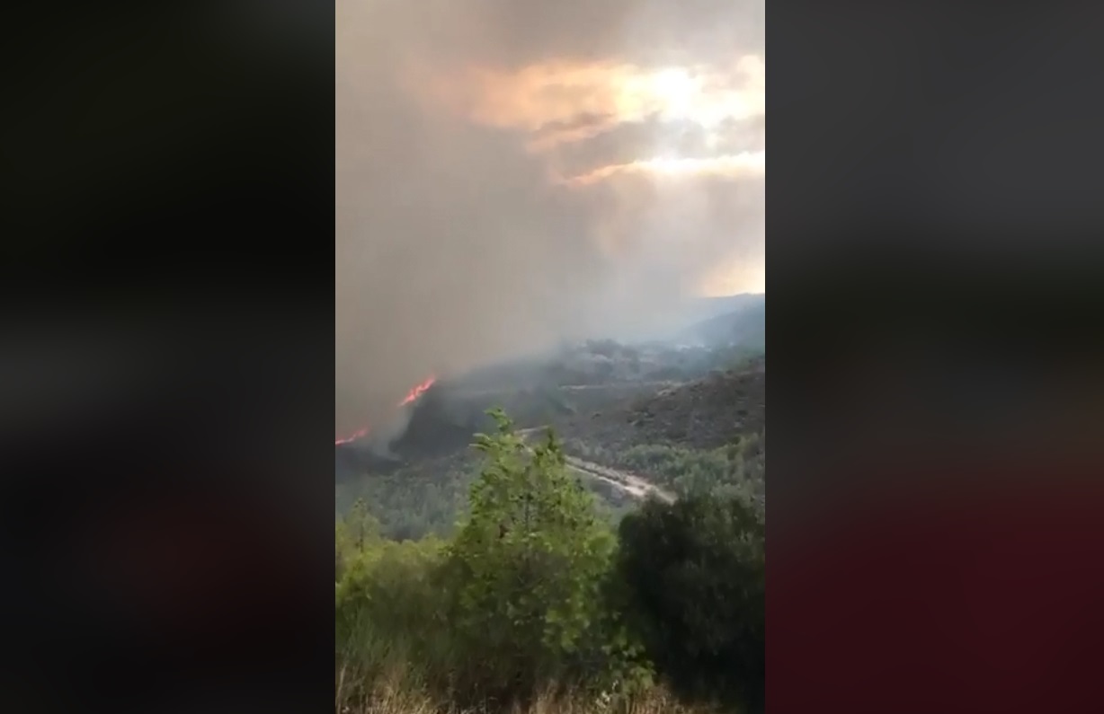 Παναγιώτης Κοκκινίδης
