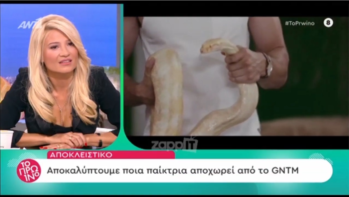 GNTM