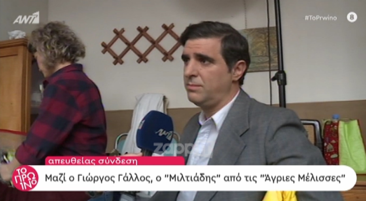 Άγριες Μέλισσες