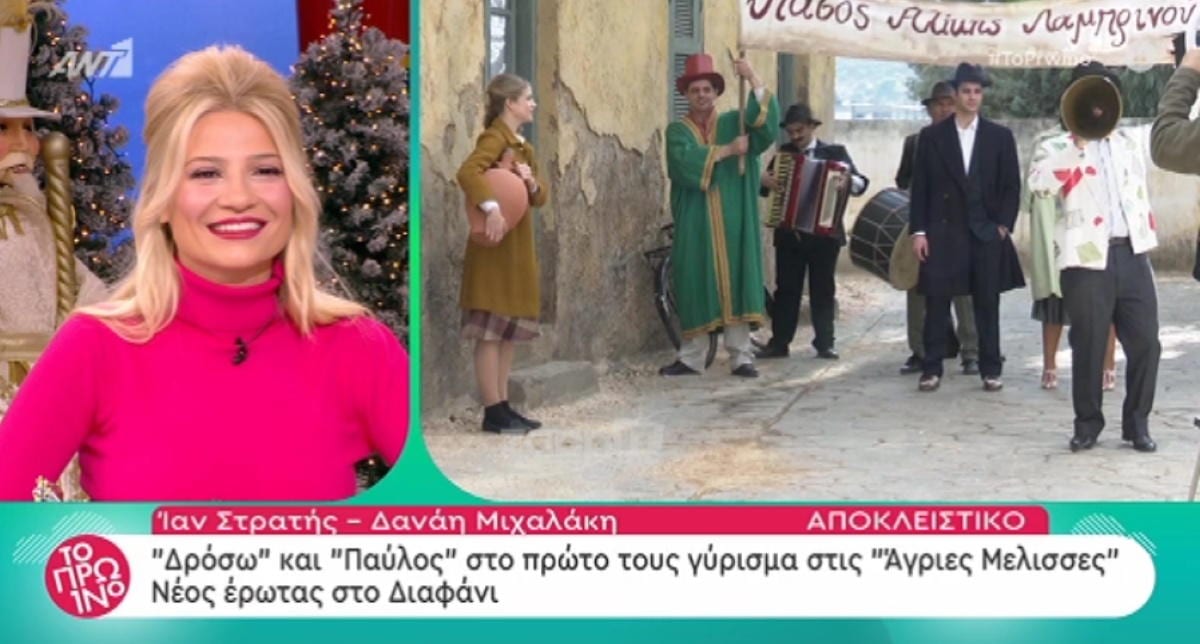 Άγριες Μέλισσες