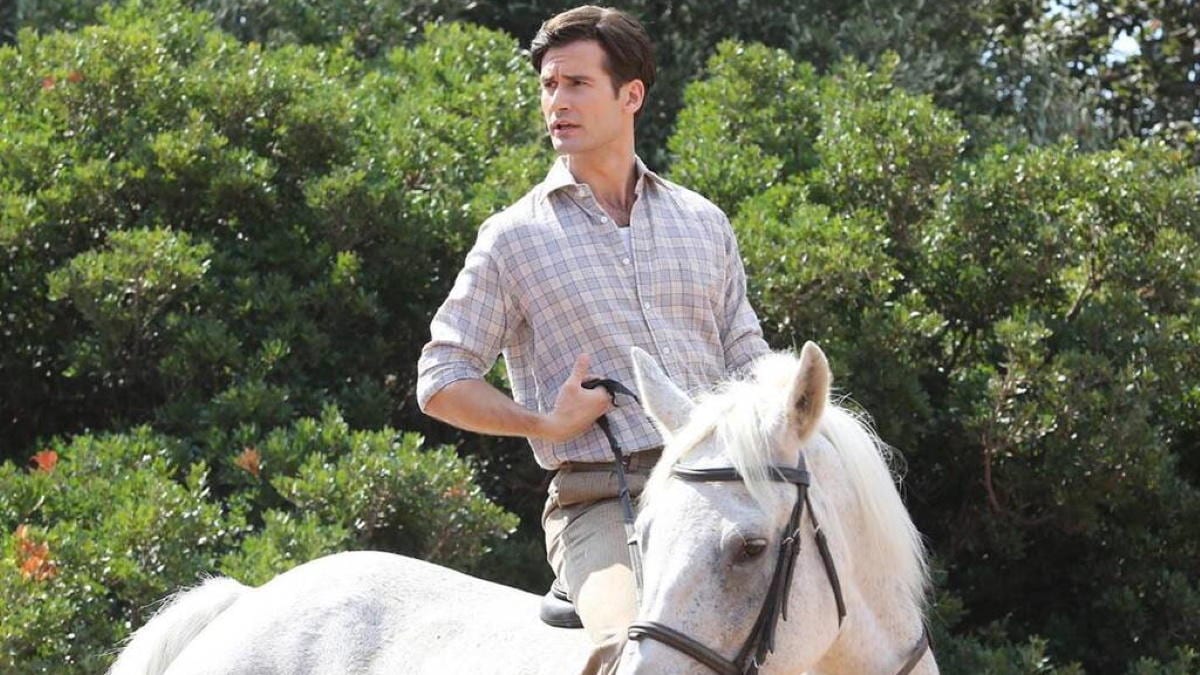 Άγριες Μέλισσες