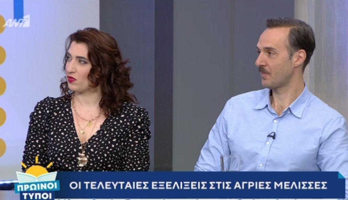 Άγριες Μέλισσες