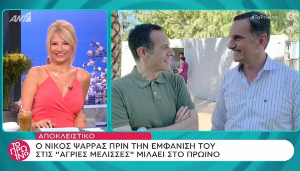 Άγριες Μέλισσες