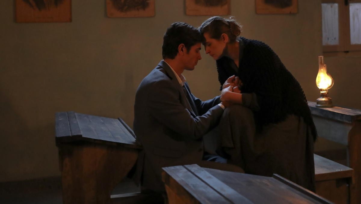 Άγριες Μέλισσες