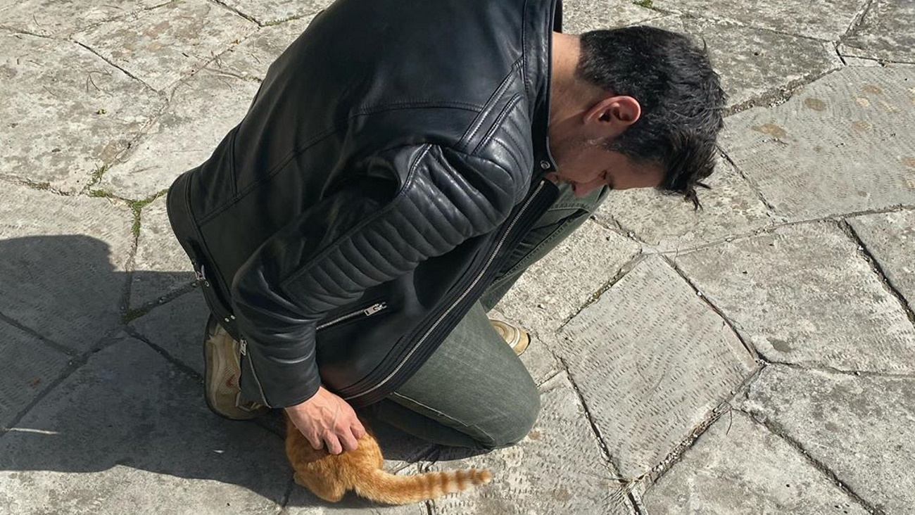 Δημήτρης Ουγγαρέζος