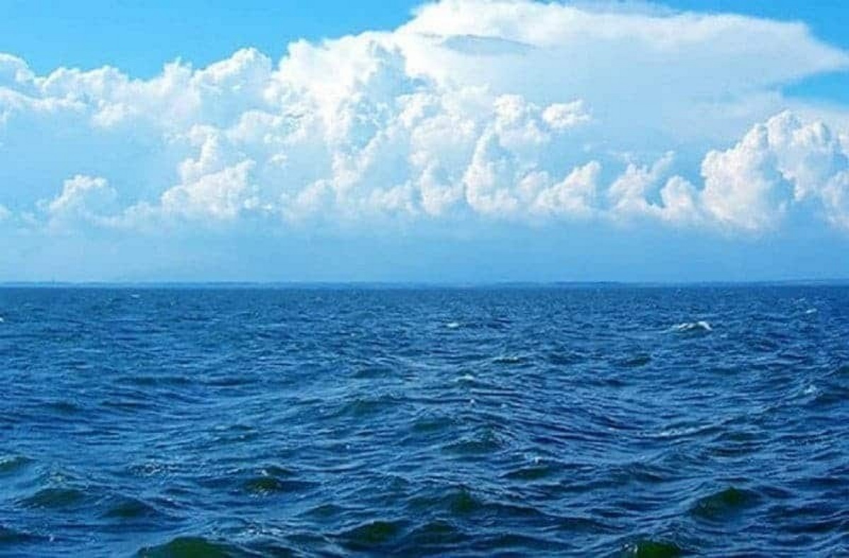 Μόνικα