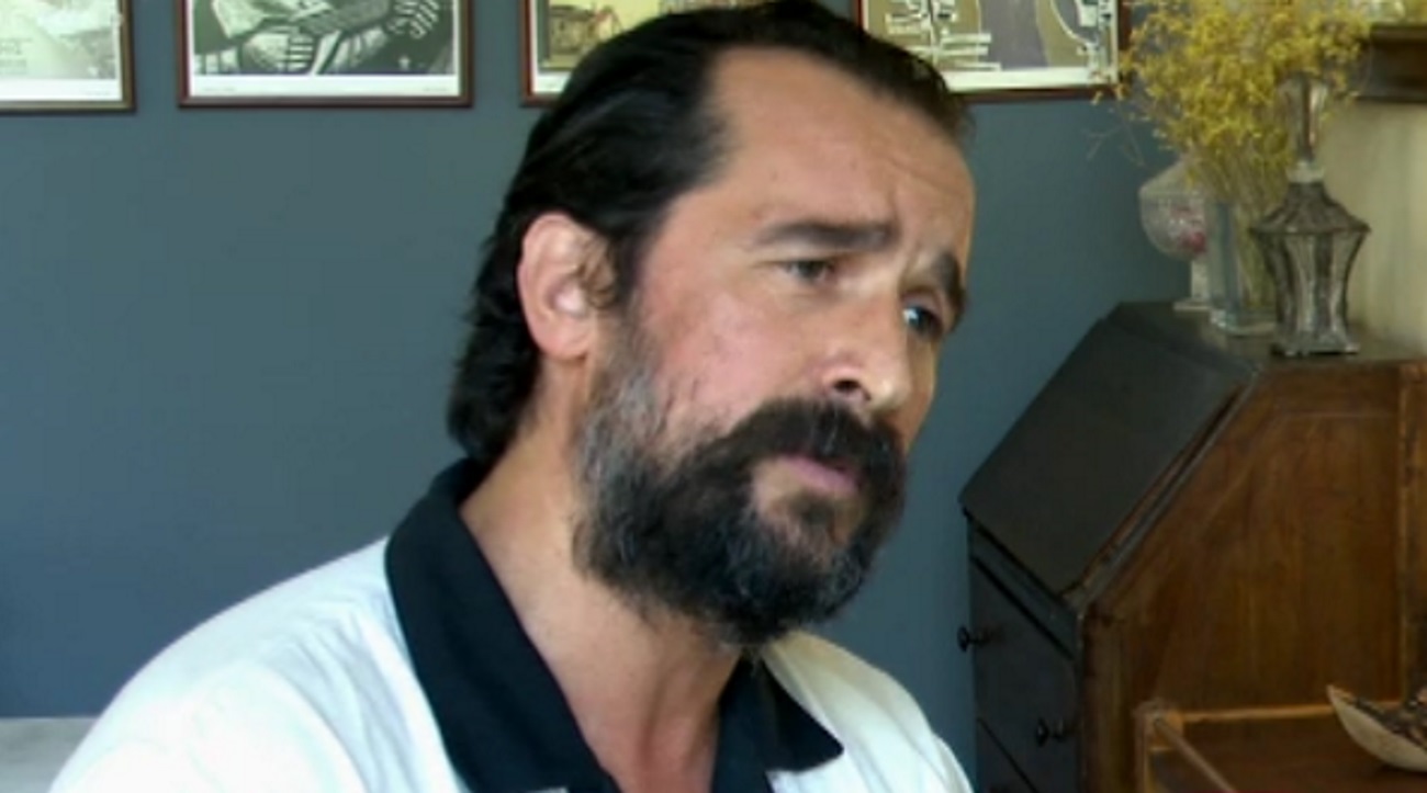 Άγριες Μέλισσες