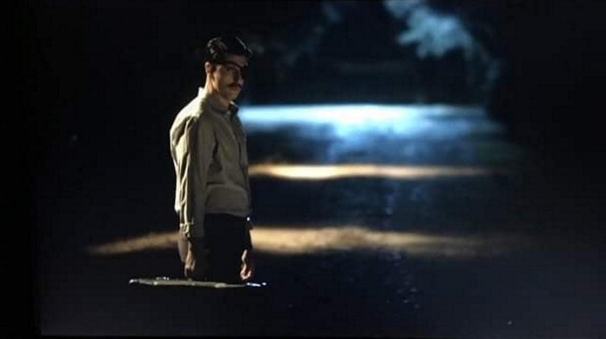 Άγριες Μέλισσες