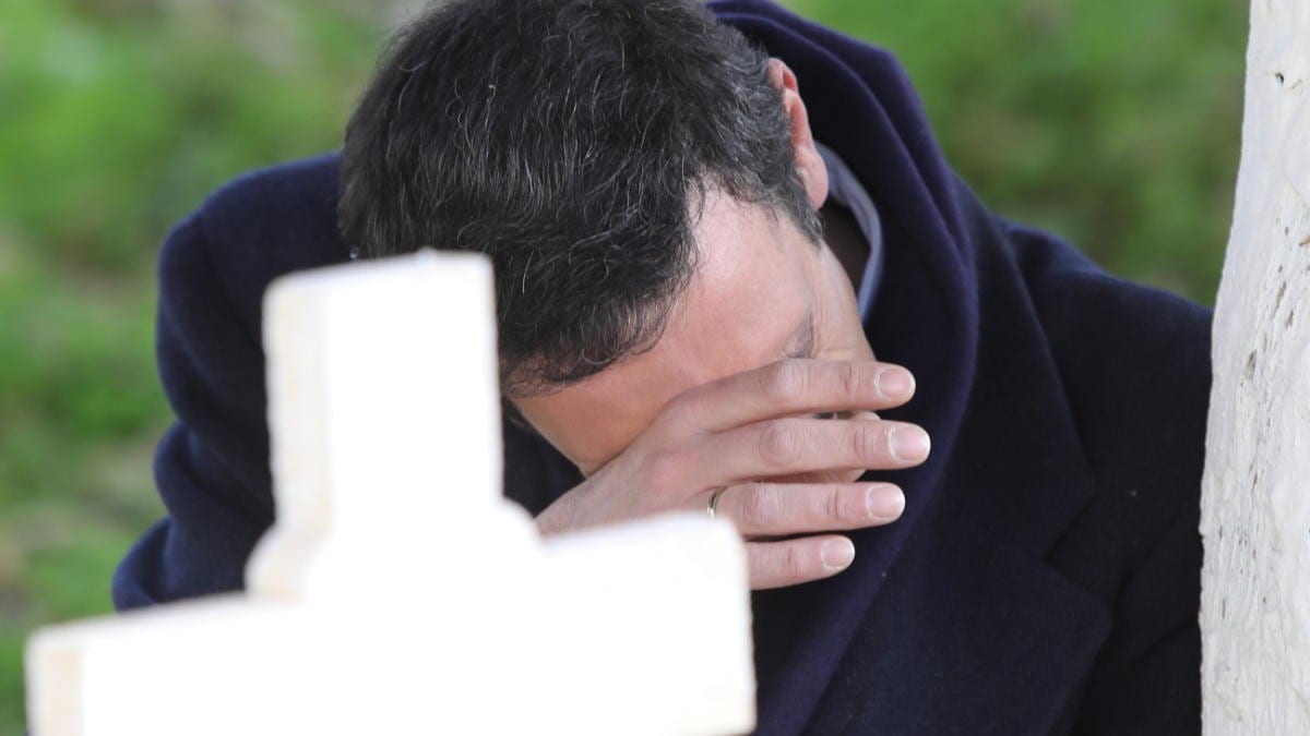 Άγριες Μέλισσες