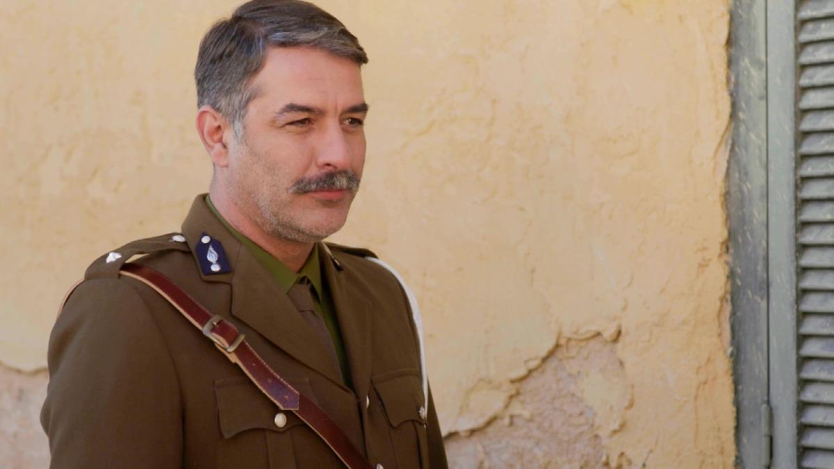 Άγριες Μέλισσες