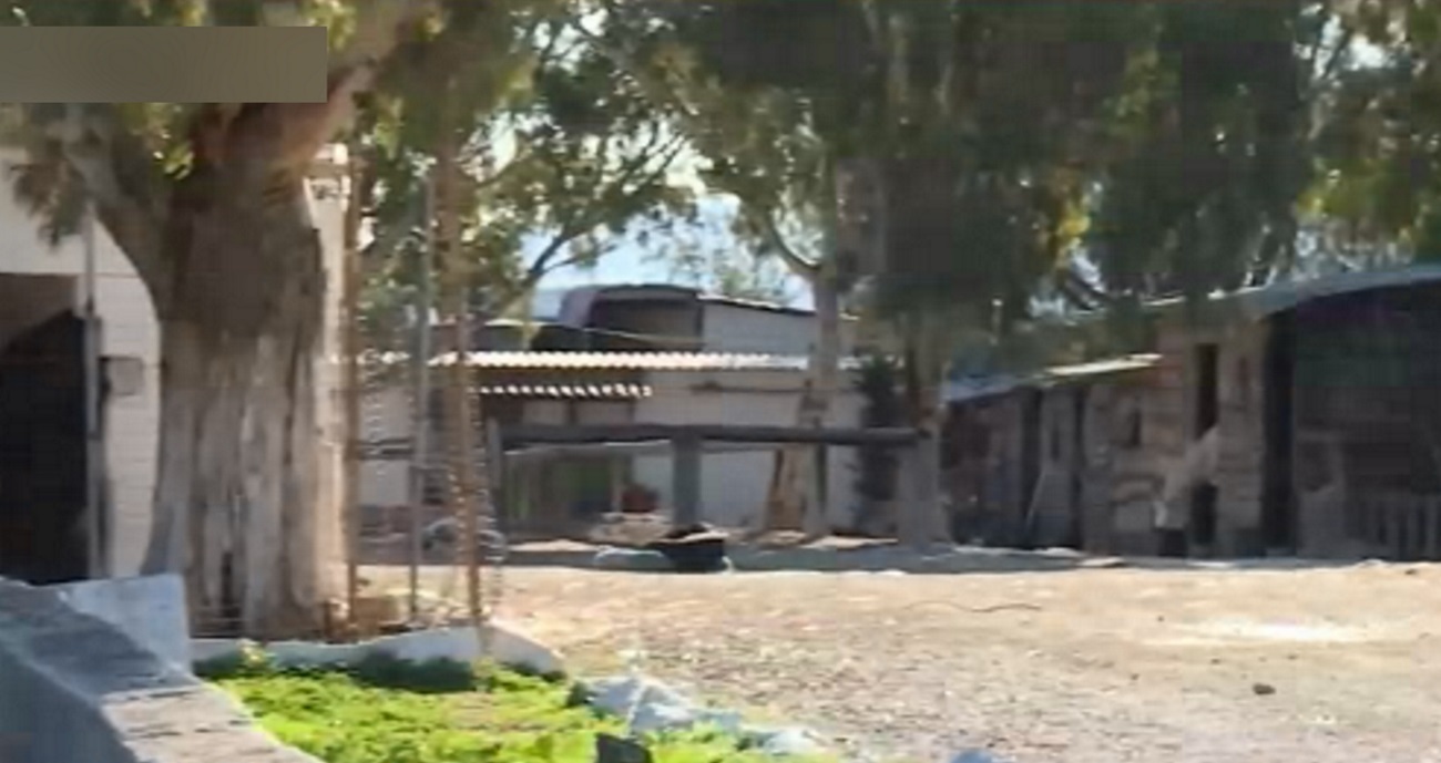 Νέα στοιχεία για την απόπειρα βιασμού ανήλικης σε σχολή ιππασίας – Τι είπε αυτόπτης μάρτυρας στο Live News