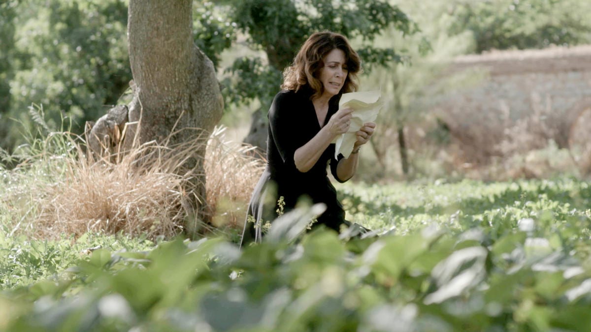 Άγριες Μέλισσες